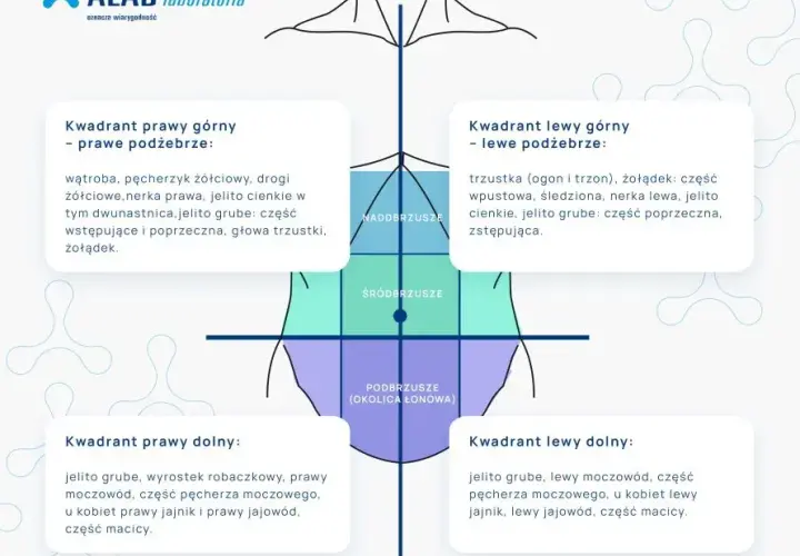 Ból brzucha? Jakie badania wykonać i kiedy szukać pomocy